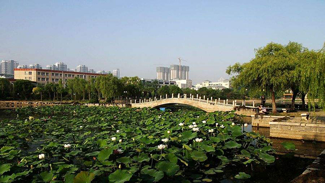 煙臺大學橋